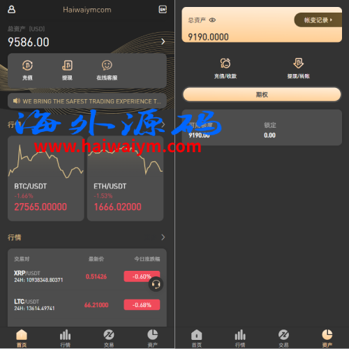 新版多语言海外微盘系统/微交易/虚拟币时间盘/伪交易所